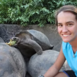 Tortoise Socialization Techniques