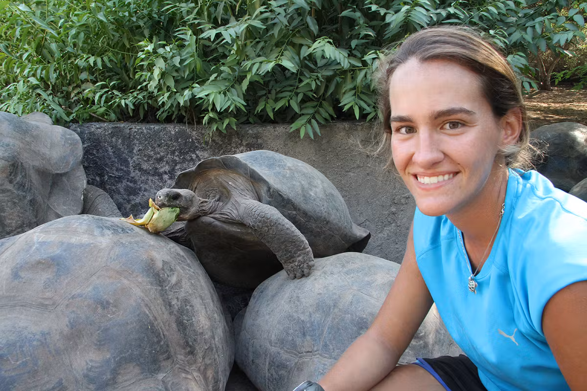 Tortoise Socialization Techniques: How To Get Better?